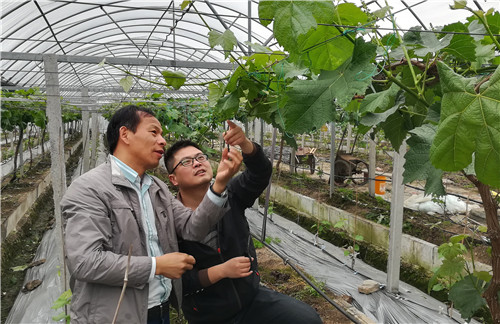 惠多利&ldquo;師徒制&rdquo;葡萄班學(xué)員赴嘉興學(xué)藝