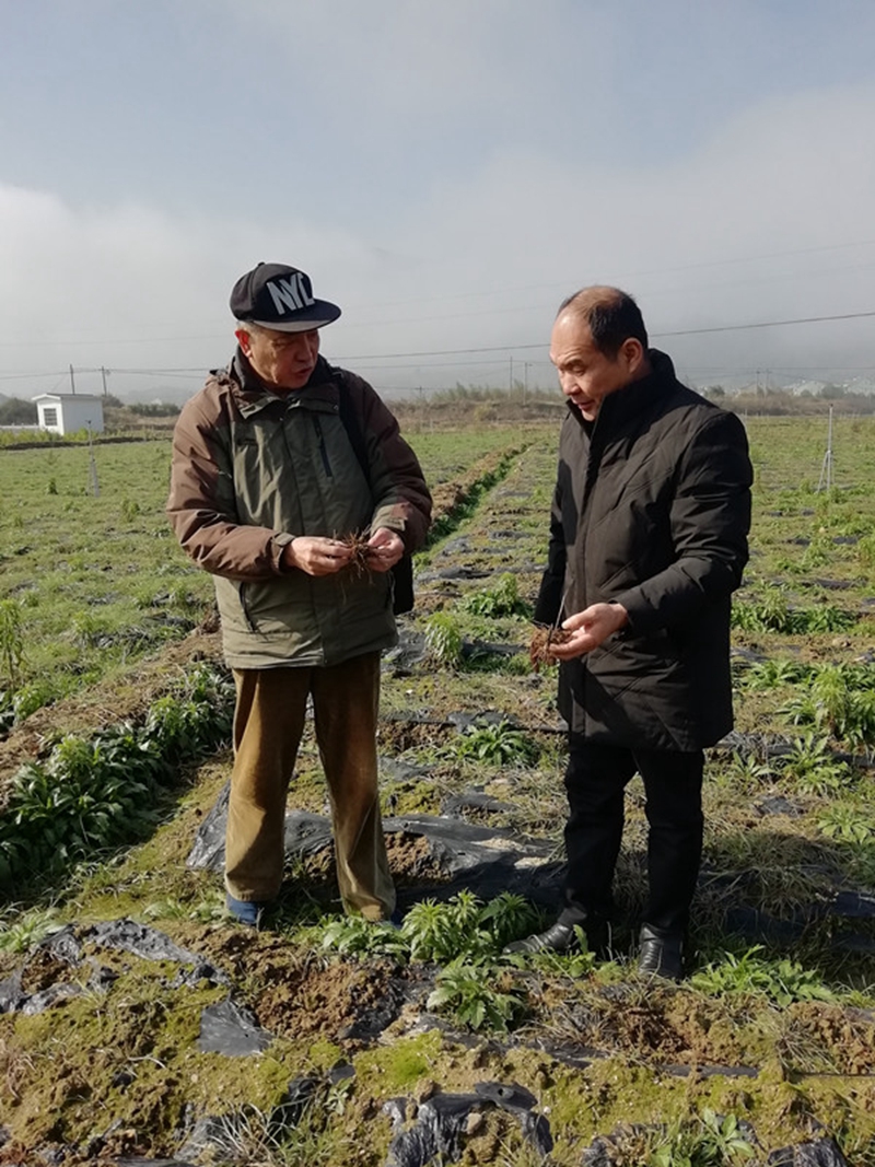 浙農(nóng)股份農(nóng)技人員赴諸暨調(diào)研指導