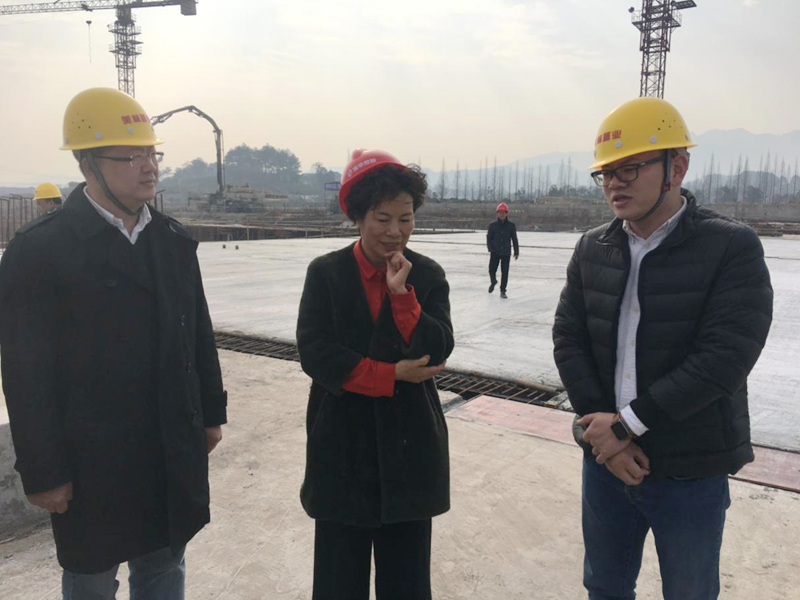 麗水市委常委、宣傳部長(zhǎng)任淑女調(diào)研松陽美林&middot;南城壹號(hào)項(xiàng)目