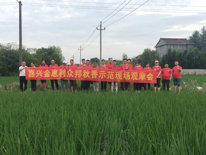 嘉興金惠利組織開展&ldquo;秋香&rdquo;除草劑觀摩會(huì)