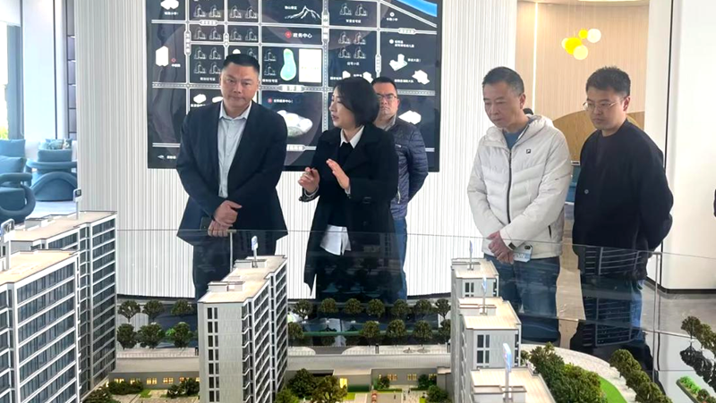 松陽縣住房和城鄉(xiāng)建設(shè)局局長潘毅調(diào)研美林&middot;南宸府