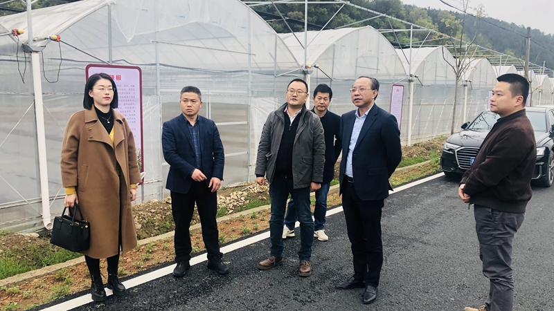 集團(tuán)黨委赴衢州區(qū)域&ldquo;走基層調(diào)查研究&rdquo;