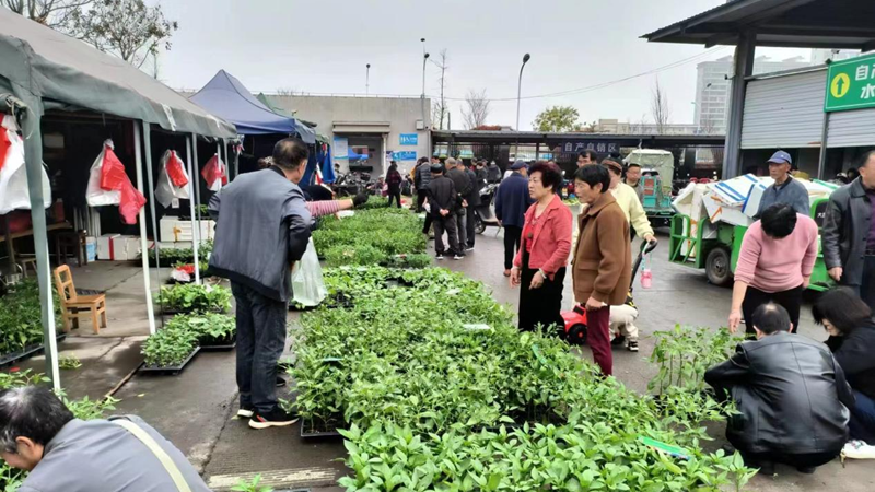 緩解&ldquo;賣(mài)菜難&rdquo; 建德農(nóng)批市場(chǎng)自產(chǎn)自銷(xiāo)臨時(shí)攤位投入使用
