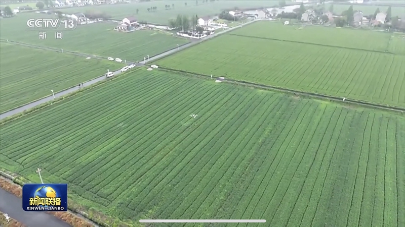助農降本增收！浙農耘糧油未來農場獲央視《新聞聯播》報道
