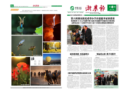 浙農(nóng)報(bào)2013年第12期（一、四版）